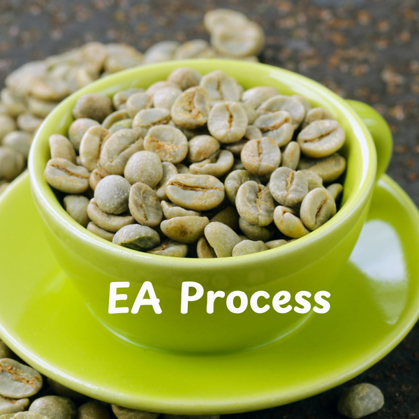 Colombian Decaf EA Process