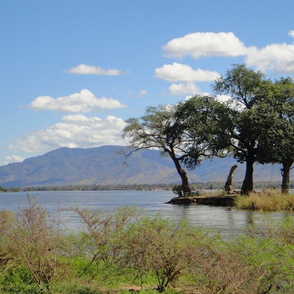 Zambia Extended Fermentation