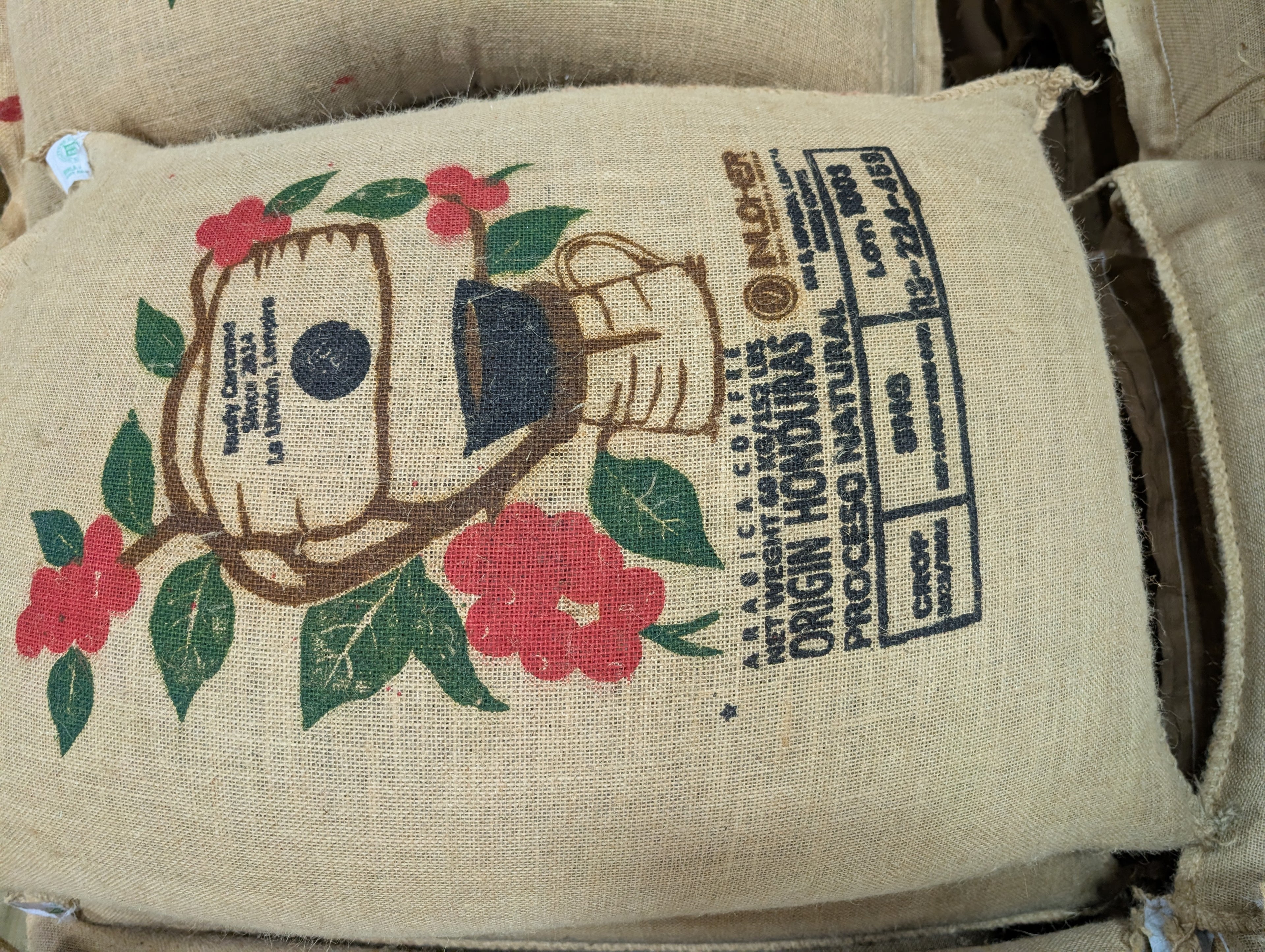 Honduras Rudy Carcamo Natural