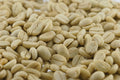 Peru San Ignacio
