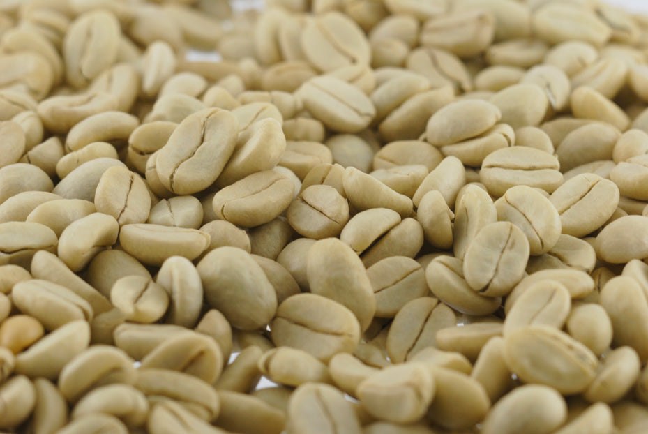 Peru San Ignacio