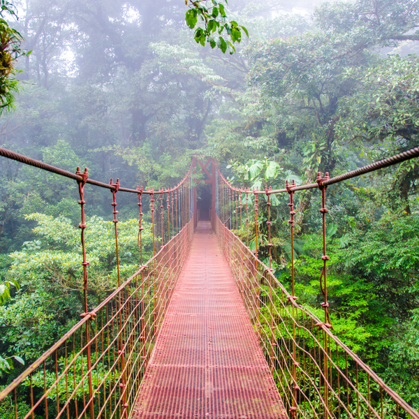 Costa Rica Tarrazu