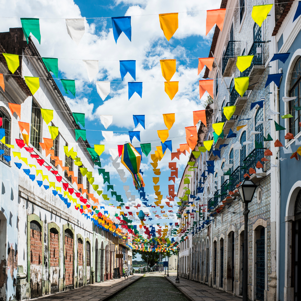 Brazil Cerrado Santos