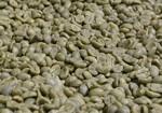 Honduras Rudy Carcamo Natural