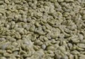 Honduras Rudy Carcamo Washed