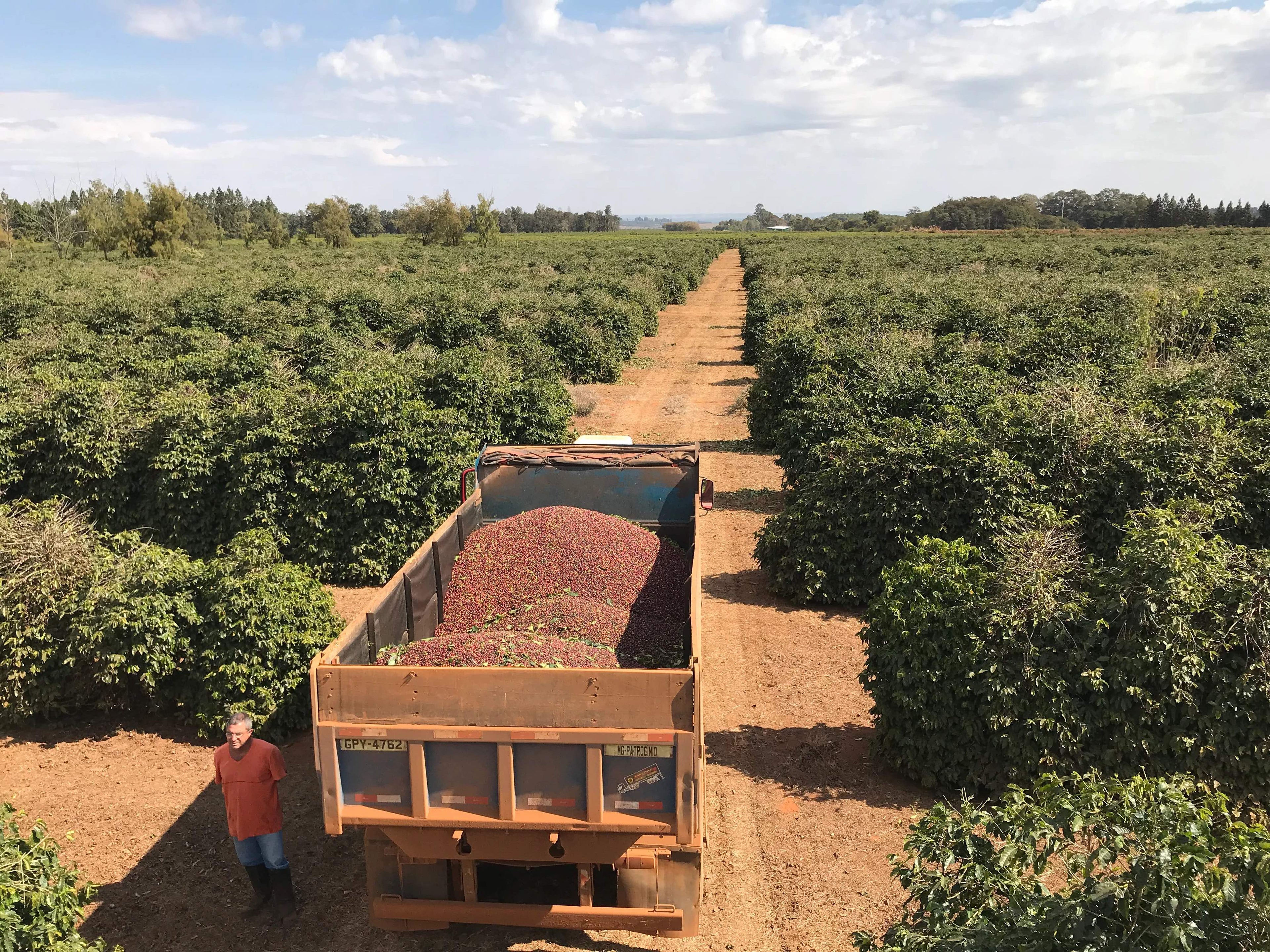 Daterra - Bourbon Collection