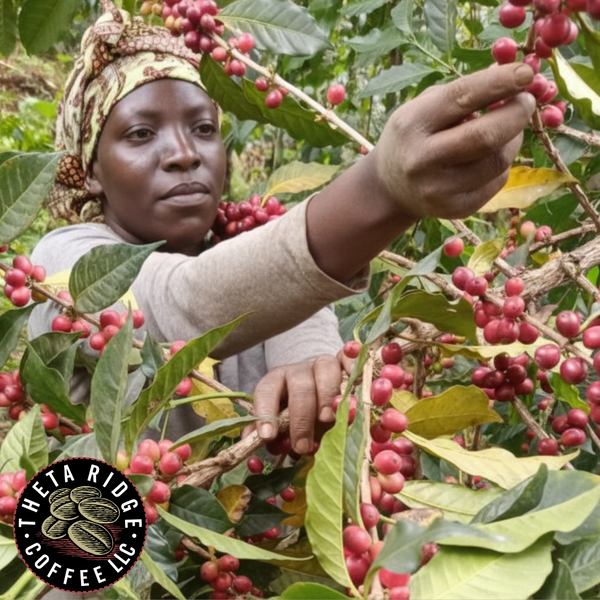 Uganda Mt Elgon Bududa